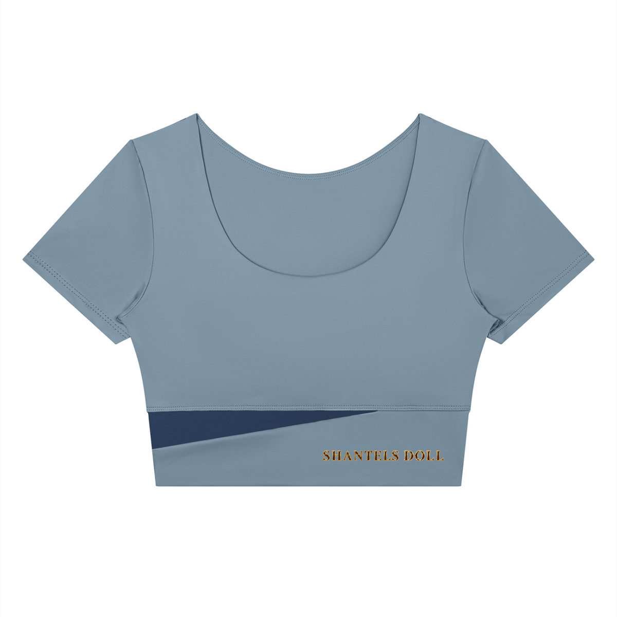 Shantel's Paneled Crop Yoga T-Shirt