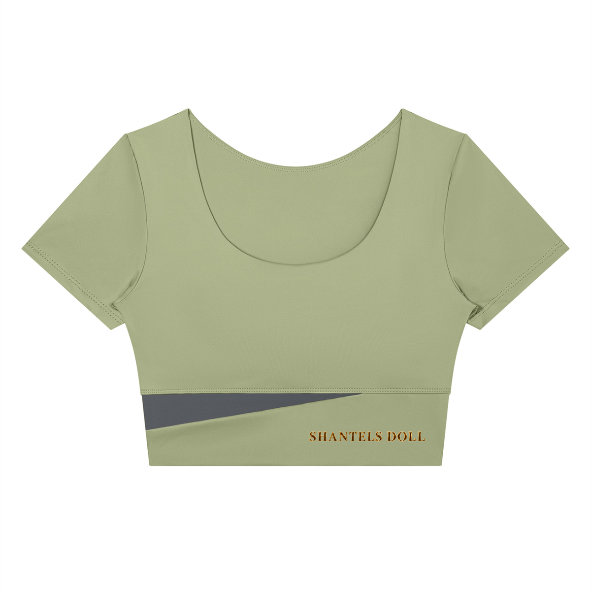Shantel's Paneled Crop Yoga T-Shirt