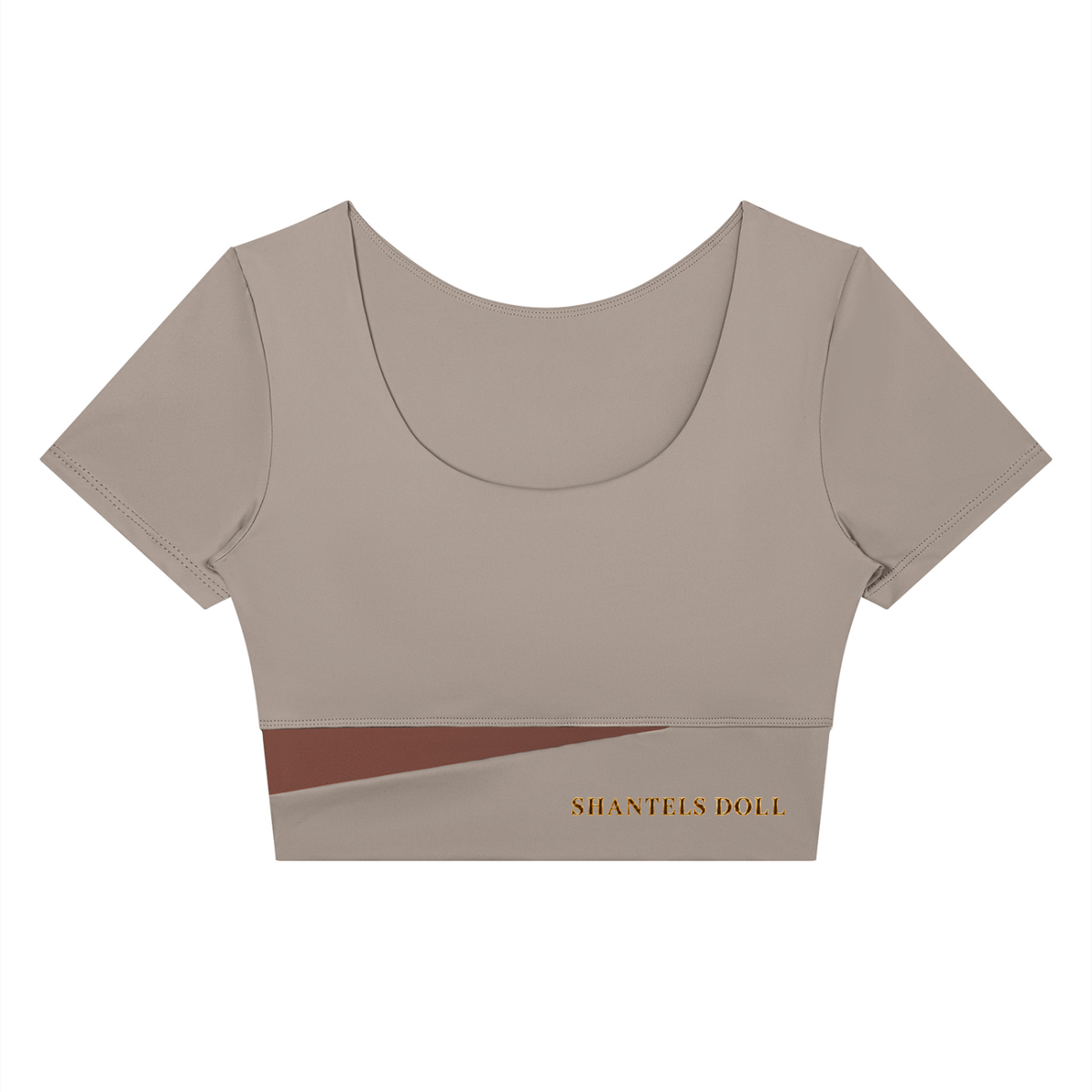 Shantel's Paneled Crop Yoga T-Shirt