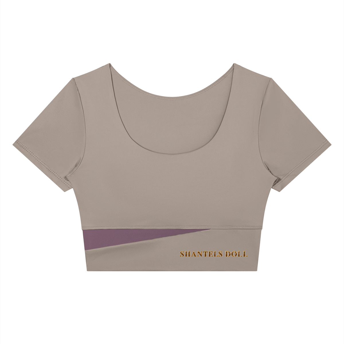 Shantel's Paneled Crop Yoga T-Shirt