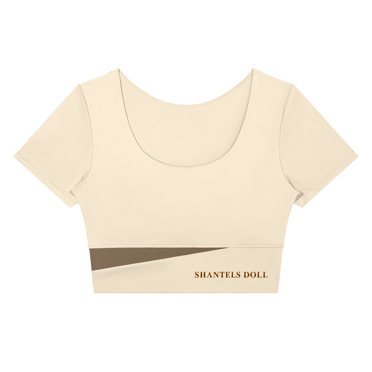 Shantel's Paneled Crop Yoga T-Shirt